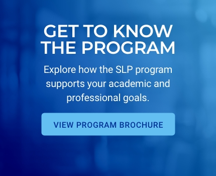 SLP Brochure button