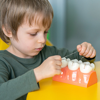 Child flossing fake teeth 